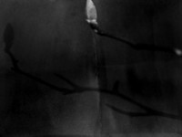 04-12