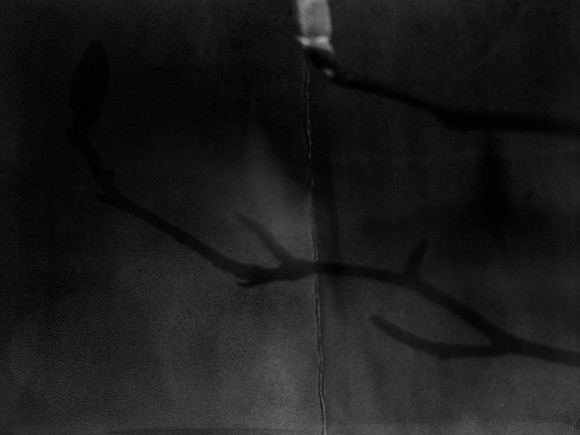 04-23
