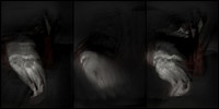 100317-2-11