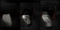 100317-2-7