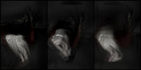 100317-2-13