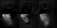 100317-2-9