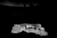 21 july 2010-130-Edit-3