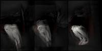 100317-2-8