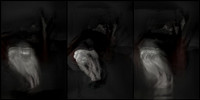 100317-2-5
