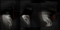 100317-2-14