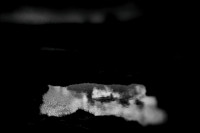21 july 2010-130-Edit-4