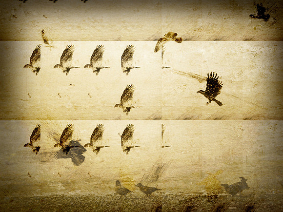 33-46