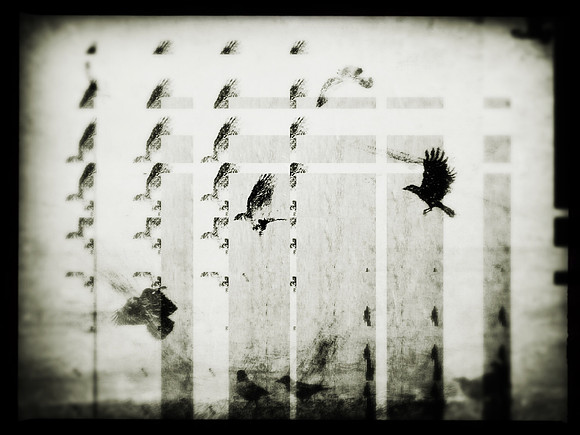 33-65