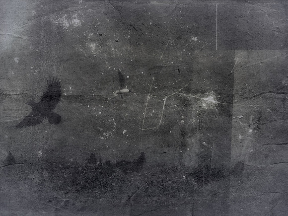 15-164