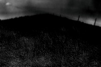 2013-06-06-203-7