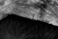 2013-06-10-136-2