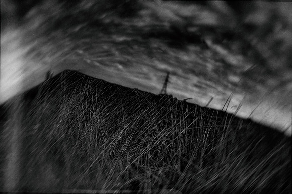 2013-06-10-136-5