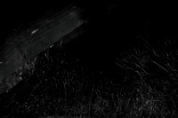 2013-06-06-209-3