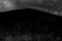 2013-06-06-203