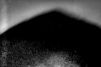 2013-06-06-206-3