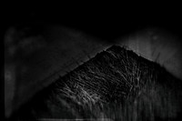2013-06-06-159