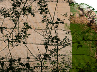 08-29