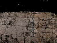 08-3