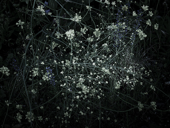 200616-4-20