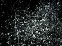 200616-4-12