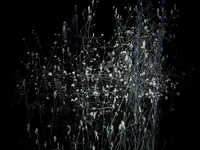 200616-4-9