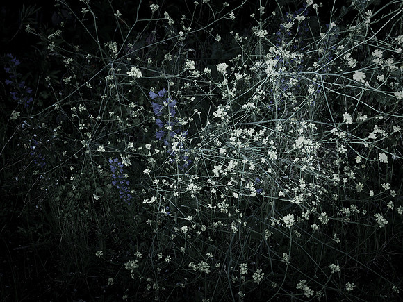 200616-4-7
