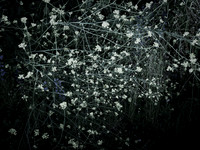 200616-4-13