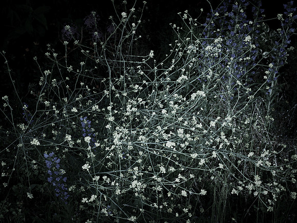 200616-4-6