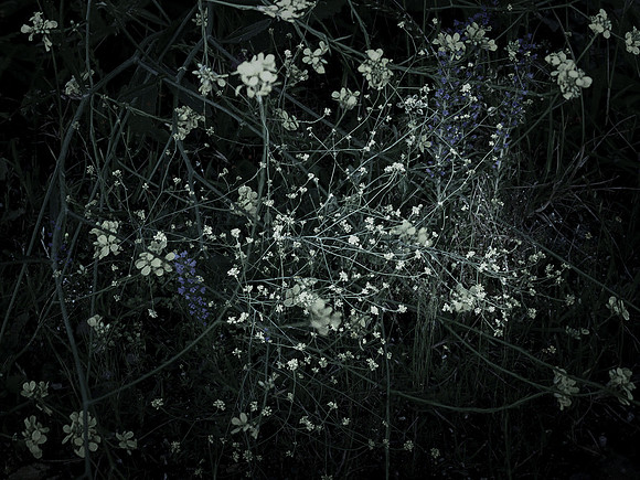 200616-4-19