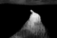 250315#205