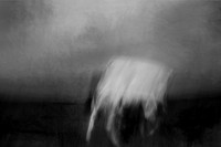 untitled shoot-
