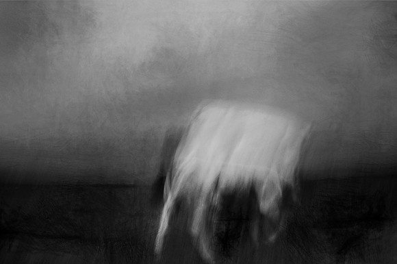 untitled shoot-