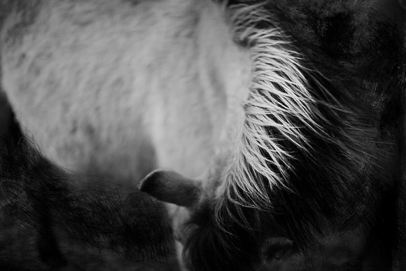Psykopainted-2