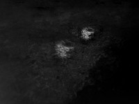IMG_7530-Edit