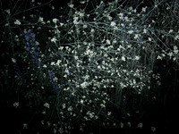 200616-4-14