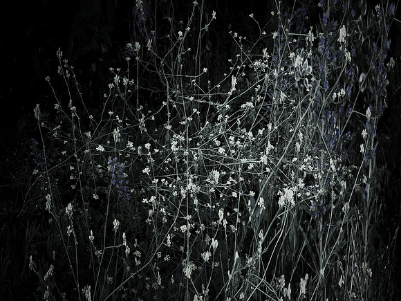 200616-4-11