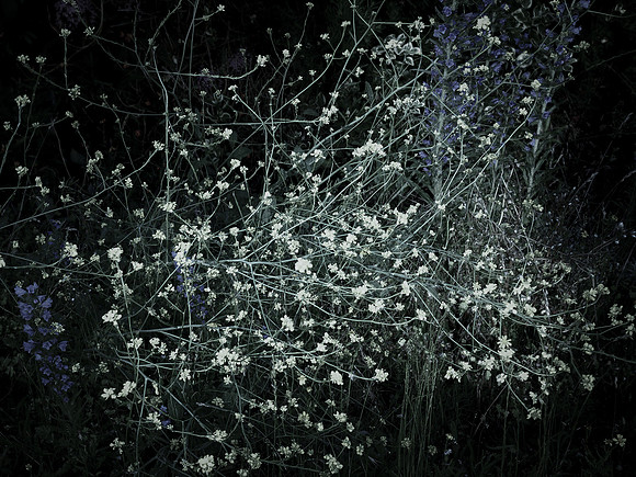 200616-4-16