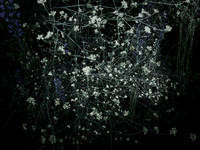 200616-4-1