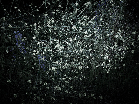 200616-4-5