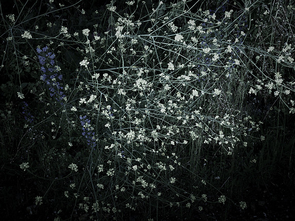 200616-4-18