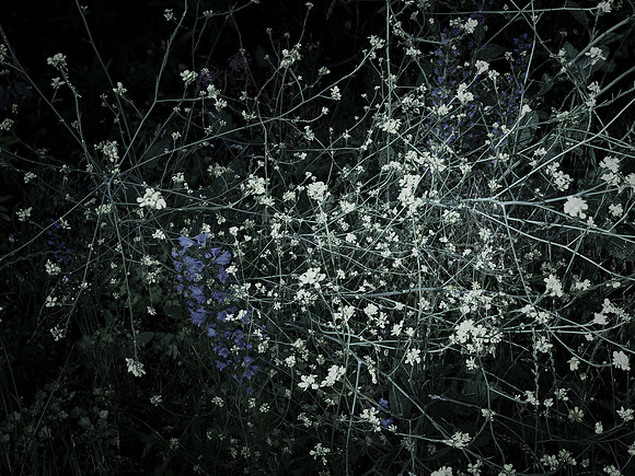 200616-4-22