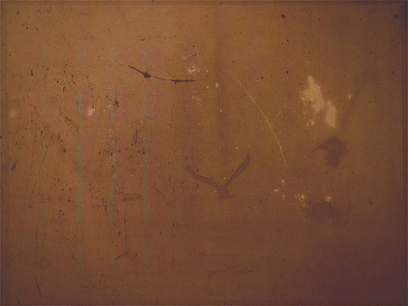 29-5