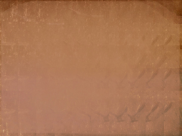 29-85