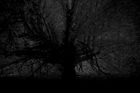 120514 #540