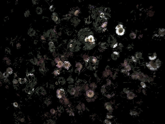 170616-4-16