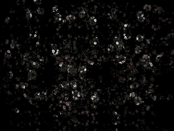 170616-4-15
