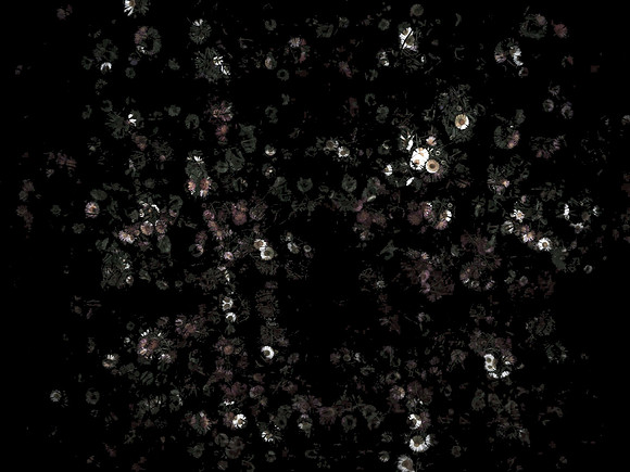170616-4-13