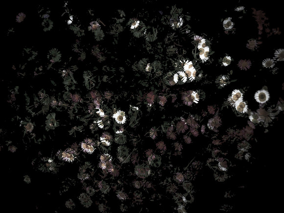 170616-4-18