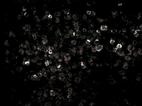 170616-4-9